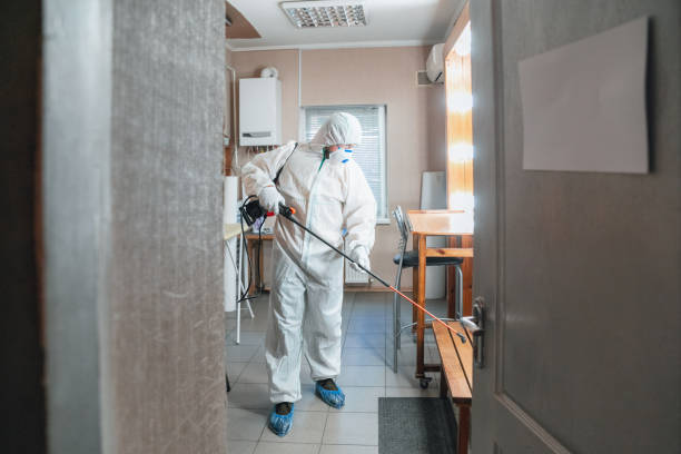 Best HVAC Mold Inspection and Cleaning  in Lonville, GA