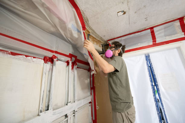 Best Water Damage & Mold Remediation  in Lonville, GA