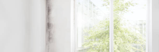 Best Forensic Mold Investigation  in Lonville, GA